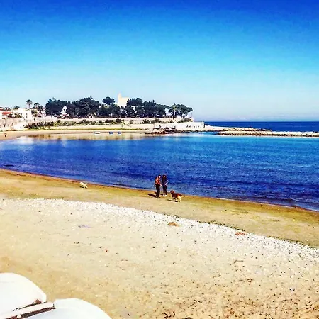 Quattro Ducati טרני